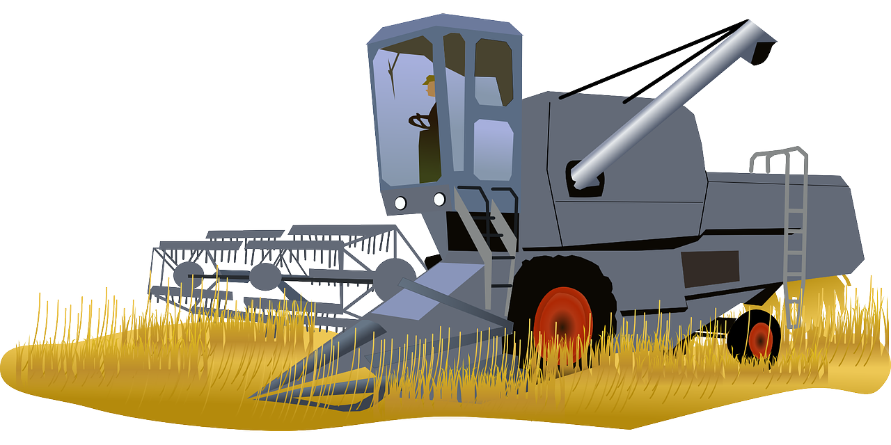 Improvement in Food Resources